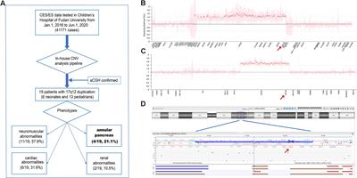 Overdosage of HNF1B Gene Associated With Annular Pancreas Detected in Neonate Patients With 17q12 Duplication